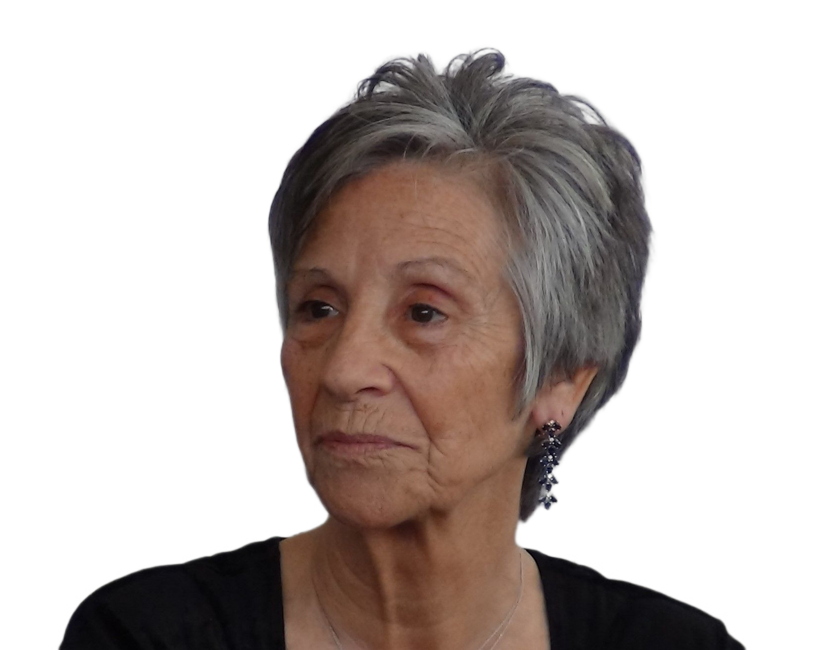 Julieta Sanches Fenacerci